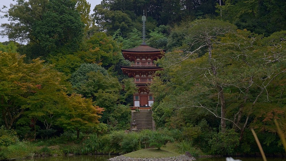 🛕 정유리사 (조루리지) 이미지 5